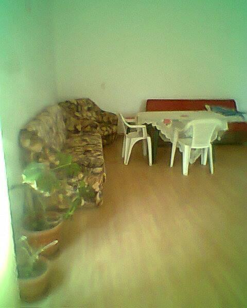 בריאזה Vila Elena Si Ionut מראה חיצוני תמונה